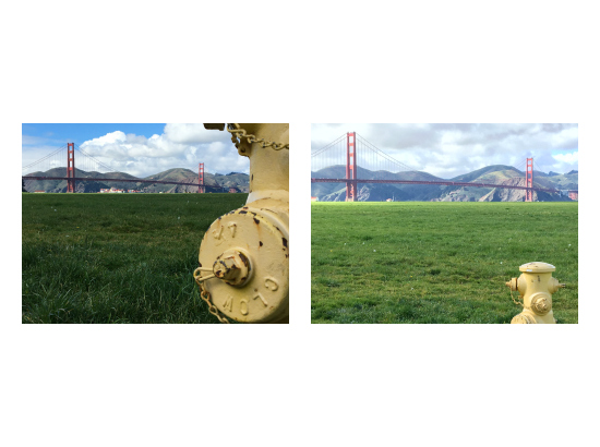 Product Presidio San Francisco, CA collage